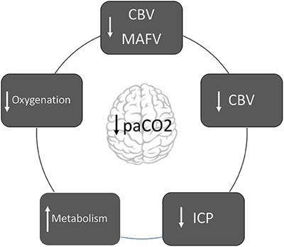 Hyperventilation in Severe Traumatic Brain Injury Has Something Changed in the Last Decade or Uncertainty Continues? A Brief Review